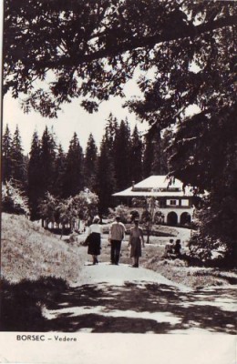 R6109 DIVERSE RPR Borsec CIRCULAT 1961 foto