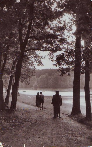 R5190 DIVERSE RPR SIBIU-Lacul din Dumbrava CIRCULAT1962
