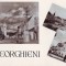 R6324 DIVERSE RPR GHEORGHIENI CIRCULAT 1964