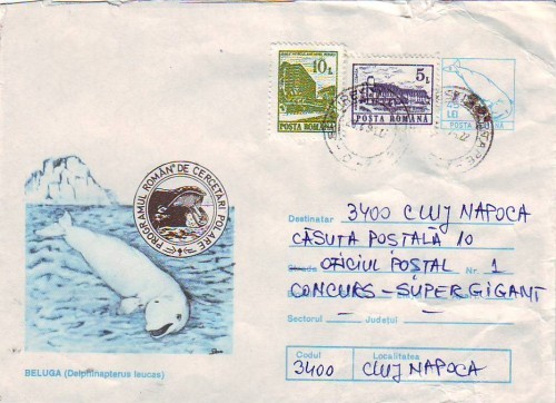 D-490 Intreg Postal Beluga