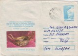 D-433 Intreg Postal Vas traco dacic Petrodava Piatra Neamt