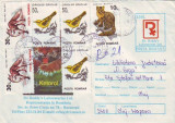 D-457 Intreg Postal Ketorol Antidotul Durerii