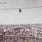 R6545 ORADEA Vedere panoramica CIRCULAT 1962