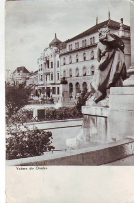 R6534 ORADEA CIRCULAT foto