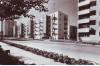R6505 ORADEA Cartierul 23 August CIRCULAT 1965