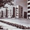 R6505 ORADEA Cartierul 23 August CIRCULAT 1965