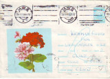 D-344 Intreg Postal Flori Muscate