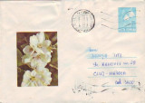 D-352 Intreg Postal Flori