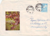 D-354 Intreg Postal Flori