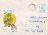 D-357 Intreg Postal Luna Padurii &#039;94