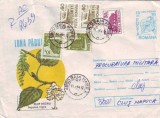 D-359 Intreg Postal Plop Negru