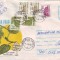 D-359 Intreg Postal Plop Negru