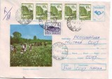 D-222 Intreg Postal Poiana narciselor