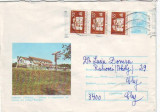 D-165 Intreg Postal Cabana Stejarul Botosani