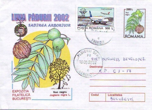 D-730 Intreg Postal Nuc negru Luna Padurii 2002 D-730 Intreg Postal Nuc negru Luna Padurii 2002