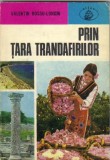 Valentin Hossu-Longin - Prin tara trandafirilor