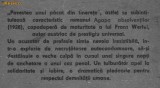Franz Werfel - Agapa absolventilor, 1988