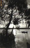 Bnk cp apus de soare in delta dunarii - circulata 1967
