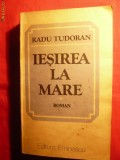 RADU TUDORAN - IESIREA LA MARE, 1984