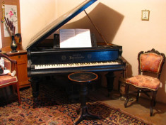 PIAN BOESENDORFER 1869 foto