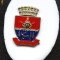 Insigna Bacau 600, 2008