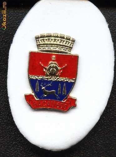 Insigna Bacau 600, 2008