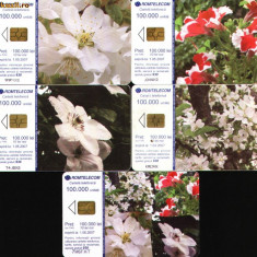 Set de 5 cartele telefonice Romtelecom, Flori