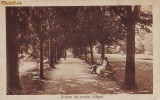 372 Vedere din parcul Salistei Necirculata