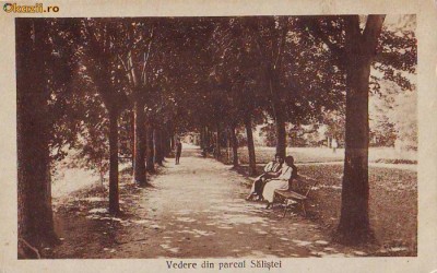 372 Vedere din parcul Salistei Necirculata foto