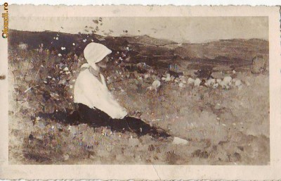 256 N Grigorescu La pasune foto