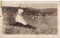 Foto  - 1