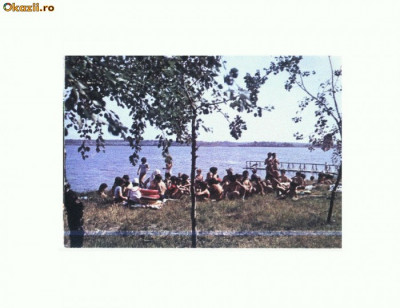 CP159-23 Lacul Sarat, Tabara de pionieri (Braila) -necirculata foto