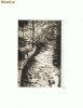 CP160-93 Slanic-Moldova -Cascada -RPR -necirculata -1953