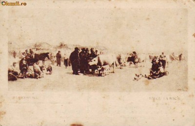 264 Port Popular Roman Grigorescu Balci la Bacau foto