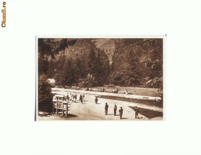 CP161-01 Tusnad -Parcul -RPR -sepia -scrisa 1951 -necirculata foto