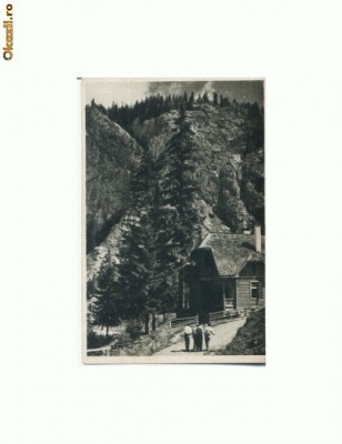 CP161-17 Lacul Rosu(Ghilcos) -RPR -scrisa 1955 -necirculata foto