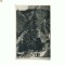 CP161-17 Lacul Rosu(Ghilcos) -RPR -scrisa 1955 -necirculata