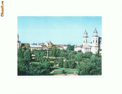 CP161-80 Satu Mare -Parcul Libertatii -necirculata foto