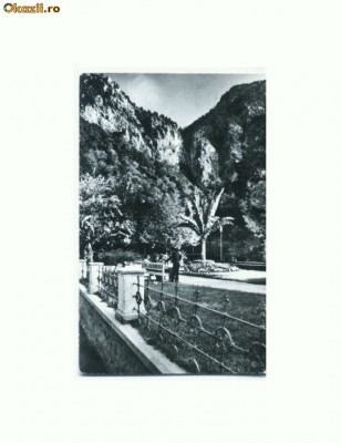 CP162-23 Baile Herculane, Vedere din parc -circulata 1969 foto
