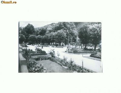 CP162-27 Calimanesti -Vedere din parc -circulata 1963 foto