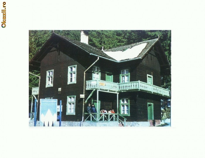 CP162-48 Paltinis, Vila -necirculata