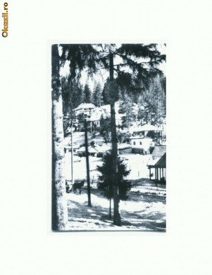 CP162-79 Borsec-Vedere din Statiune -RPR -circulata 1964 foto