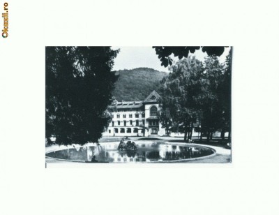 CP163-13 Sinaia -Vedere din parc -circulata1969 foto