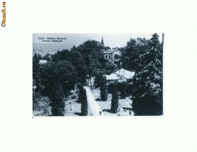 CP163-21 Cluj -Gradina Botanica -RPR -circulata 1959 foto