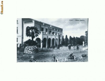 CP164-73 Cluj -Muzeul Botanic -RPR -circulata 1963 foto