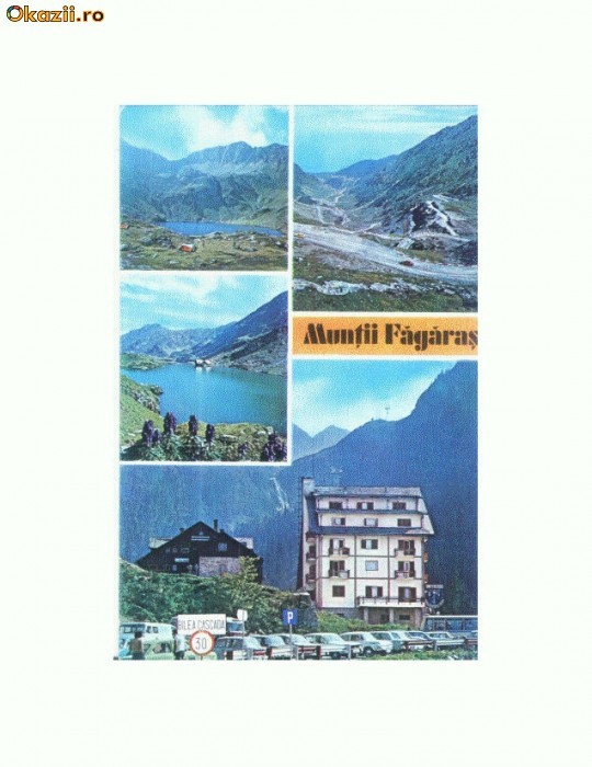 CP165-42 Muntii Fagaras -necirculata CP165-42 Muntii Fagaras -necirculata
