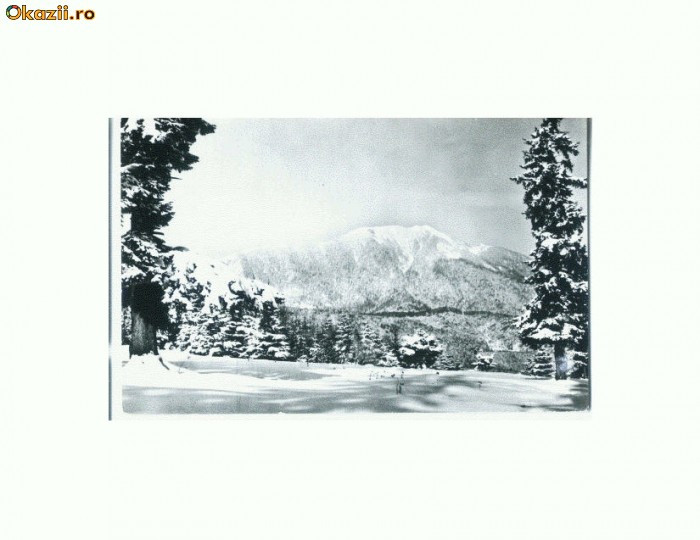 CP165-45 Vedere spre masivul Postavarul -circulata 1961 CP165-45 Vedere spre masivul Postavarul -circulata 1961