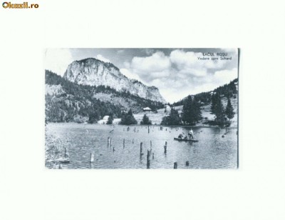 CP166-03 Lacul Rosu -Vedere spre Suhard -circulata 1962 foto