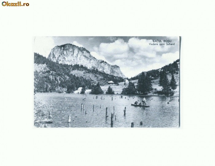 CP166-03 Lacul Rosu -Vedere spre Suhard -circulata 1962 CP166-03 Lacul Rosu -Vedere spre Suhard -circulata 1962