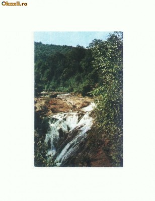CP166-36Muntii Vrancei-Valea Putnei(cascada)-circulata1956? foto
